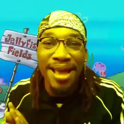 Jellyfish Fields Reaction