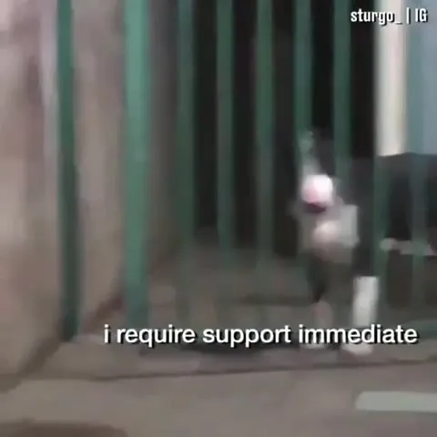 Senior Dev Support Be Like