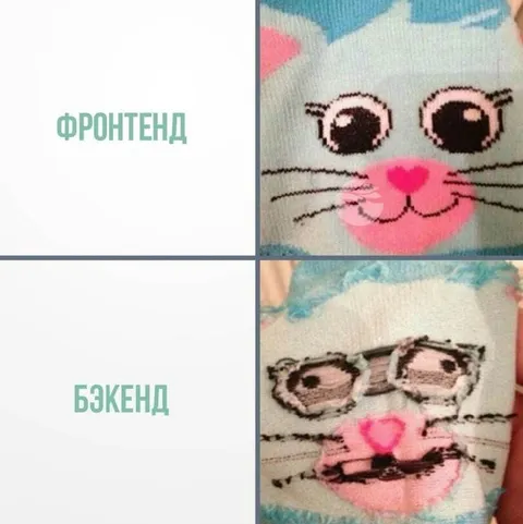 Фронтенд и бэкенд кота