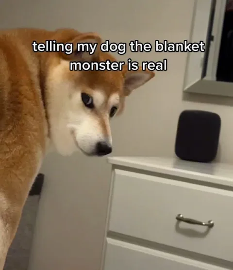 Telling My Dog the Blanket Monster Is Real