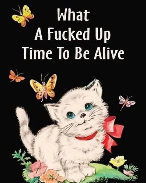 What a Fucked Up Time