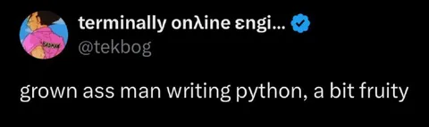 Grown Man Writing Python