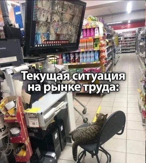 Текущая ситуация на рынке труда