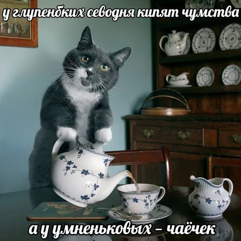Умные пьют чаёк