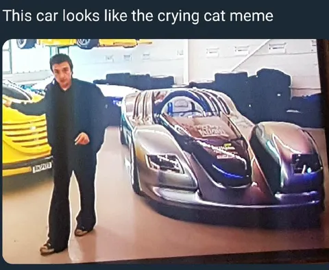 Car Looks Like Crying Cat