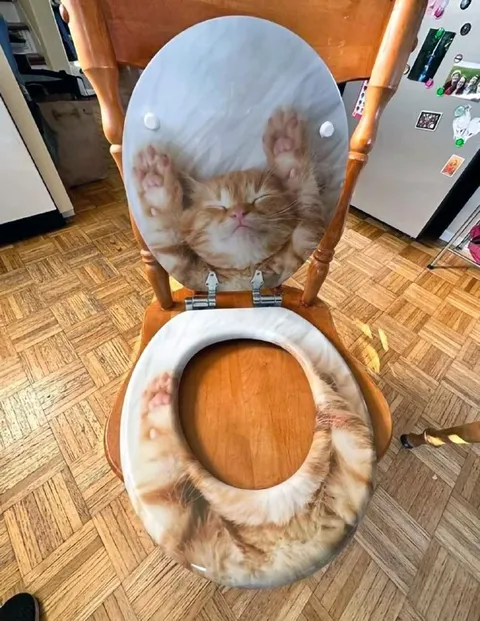 Кот на крышке унитаза