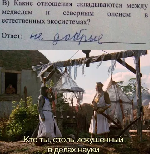 Не добрые отношения медведя и оленя