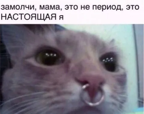 Настоящая я с пирсингом