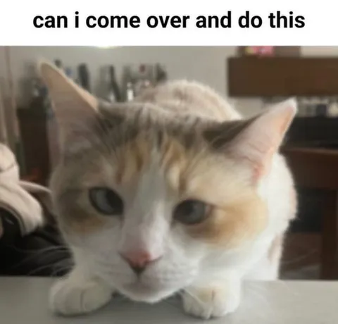 Can I Come Over and Do This