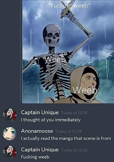 Fucking Weeb Chat Reaction