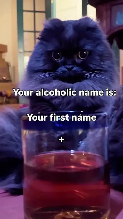 Your Alcoholic Name Cat