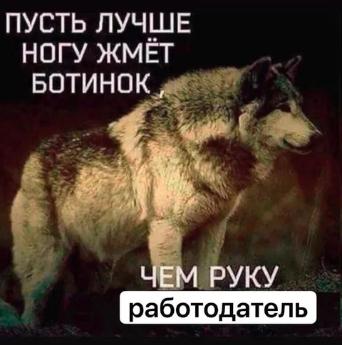 Работодатель жмёт ботинок