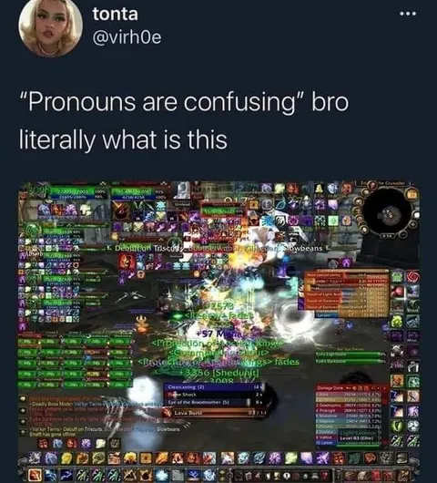 Pronouns Are Confusing Bro