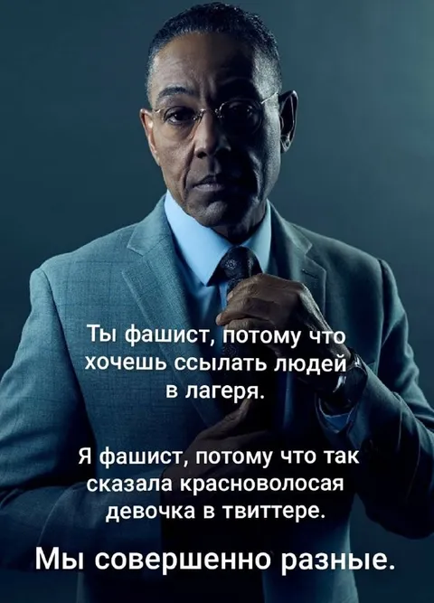 Мы совершенно разные фашисты