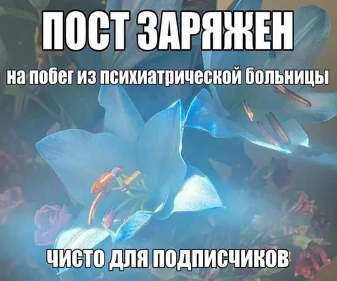 Пост заряжен на побег