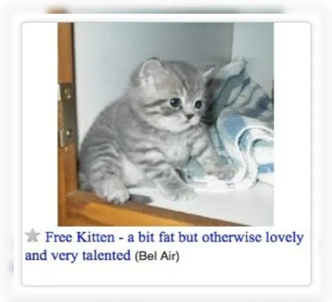 Free Kitten Bel Air Ad