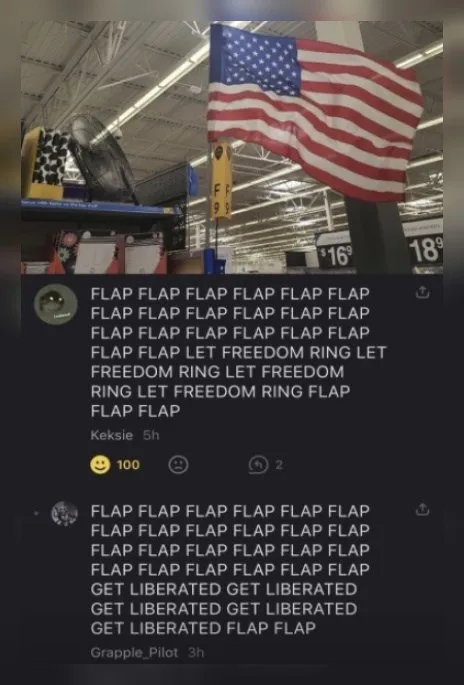Flap Flap Freedom