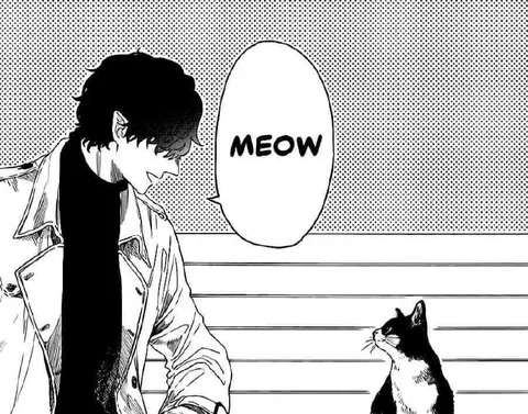 Man and Cat Say Meow