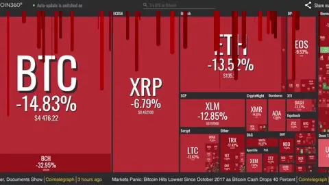 When the Entire Crypto Market Crashes
