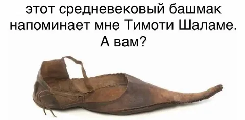 Средневековый башмак как Тимоти Шаламе