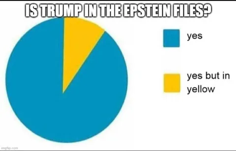 Trump in the Epstein Files Pie Chart