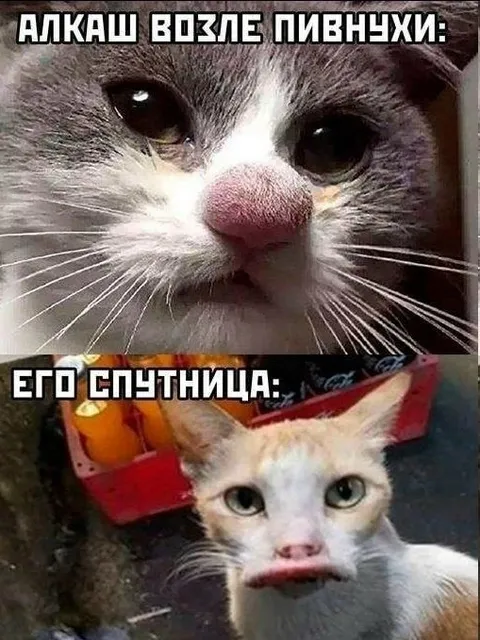 Алкаш возле пивнухи и его спутница