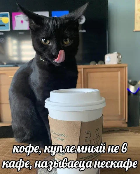 Кофе не из кафе