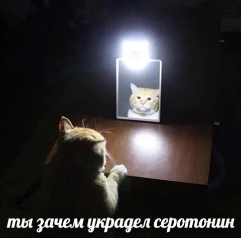 Мы зачем украдел серотонин