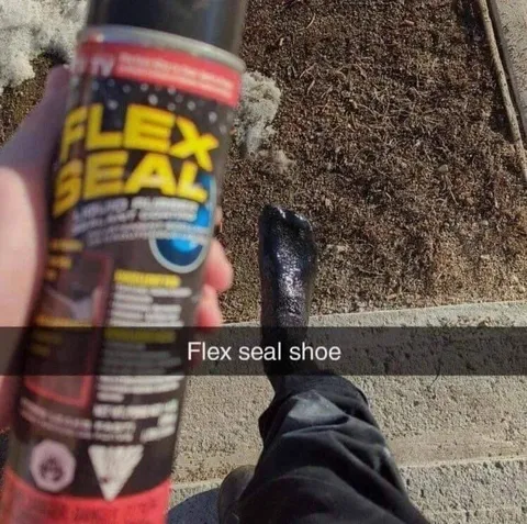 Flex Seal Shoe Repair