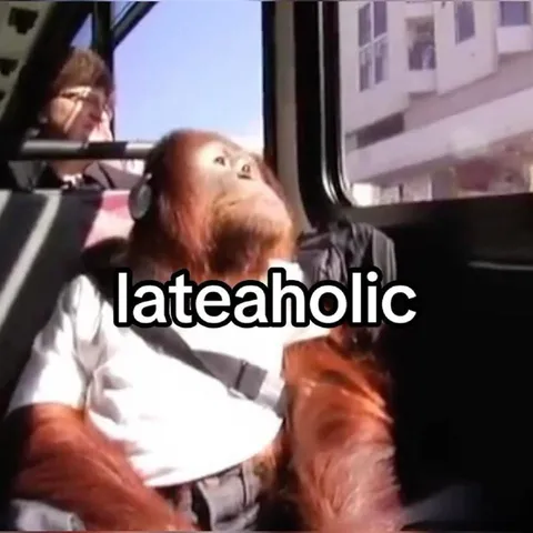 Lateaholic on the Bus