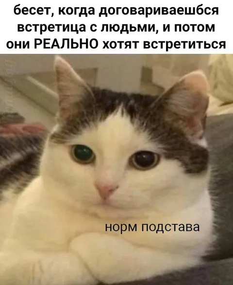 Когда знакомые реально хотят встретиться