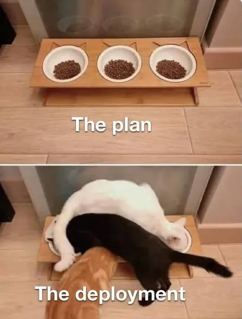 The Plan vs The Deployment
