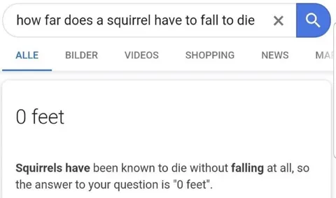 Squirrel Dies Without Falling