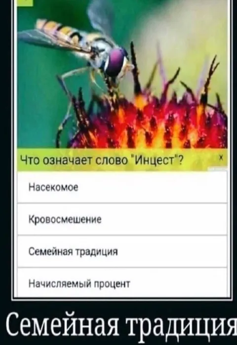 Семейная традиция