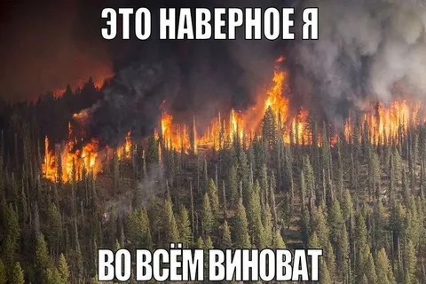 Я во всём виноват