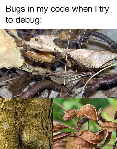 Bugs Hiding in My Code