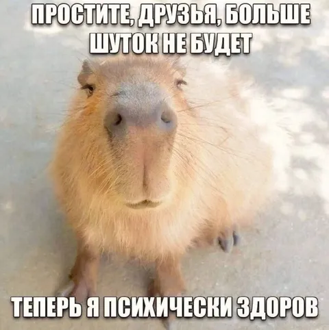 Психически здоровая капибара