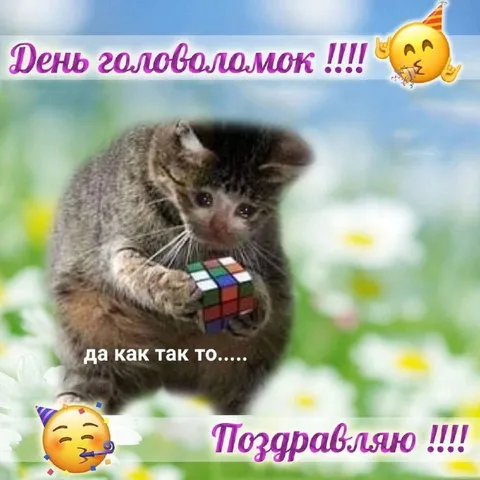 Кот не может собрать кубик