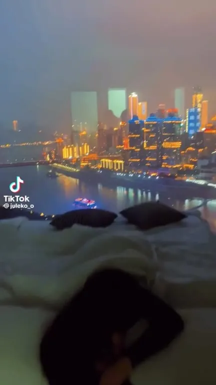 Кот исчезает на фоне ночного города