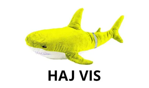 HAJ VIS