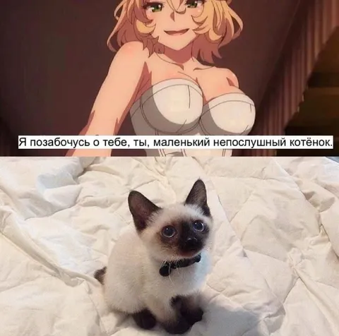Маленький непослушный котёнок