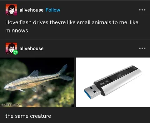 Flash Drive Minnow Joke