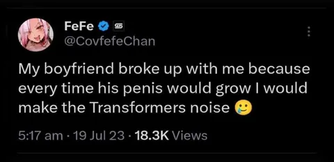 Transformers Noise During Sex