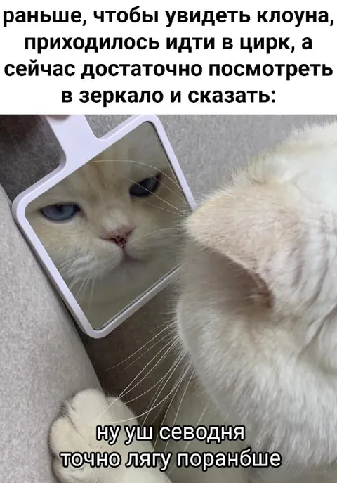 Клоун в зеркале