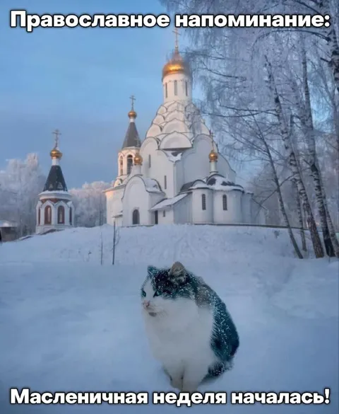 Масленичная неделя началась