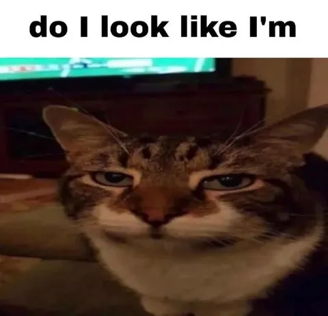 Do I Look Like I'm Listening