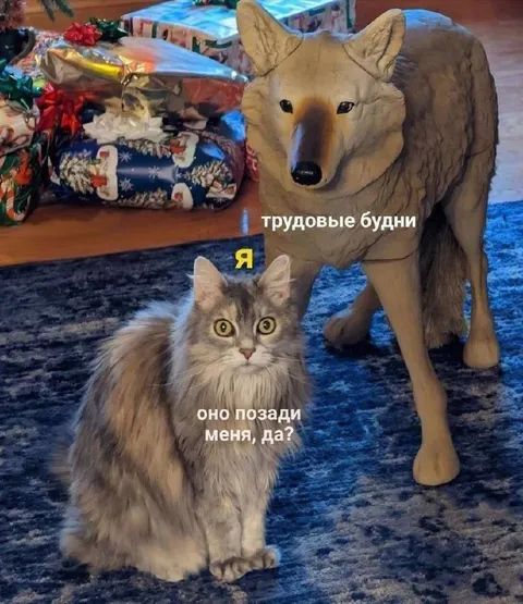 Трудовые будни позади меня