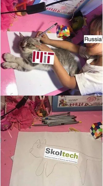 Cat Gets Into MIT