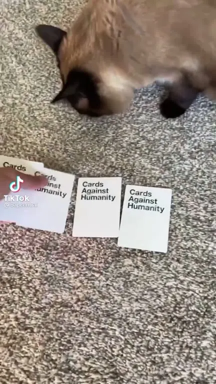 Cat Diagnoses Daddy Issues