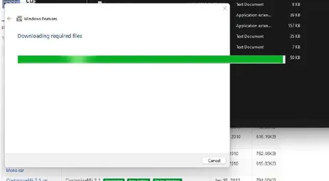 Downloading Required Files Forever